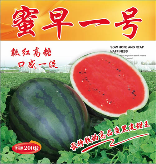 ����һ̖(h��o)