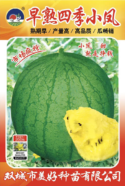 �����ļ�С�P