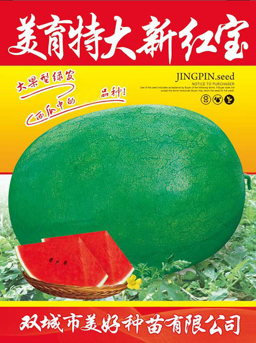 �����ش��¼t��