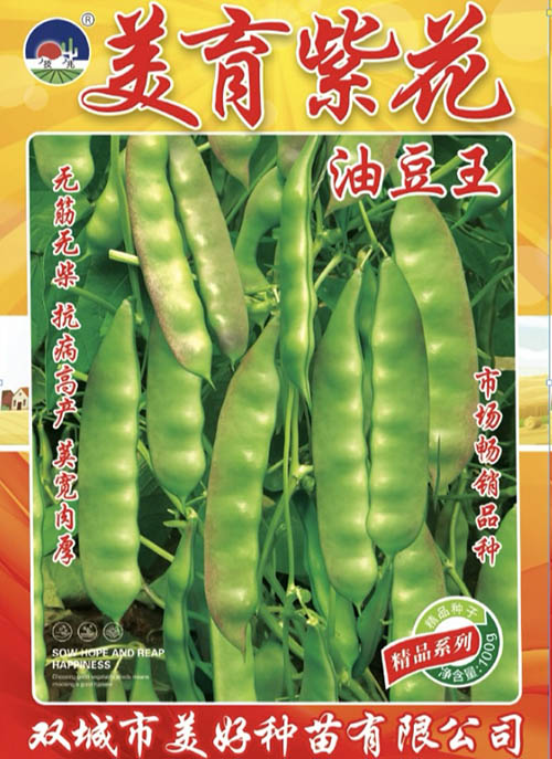 �����ϻ��Ͷ���