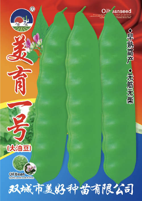 ����һ̖���Ͷ�