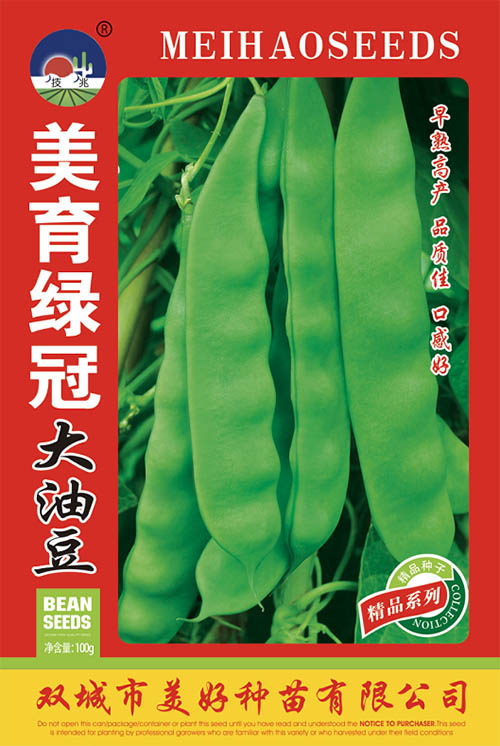 �����G�ڴ��Ͷ�