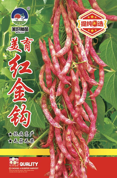 �����t���^