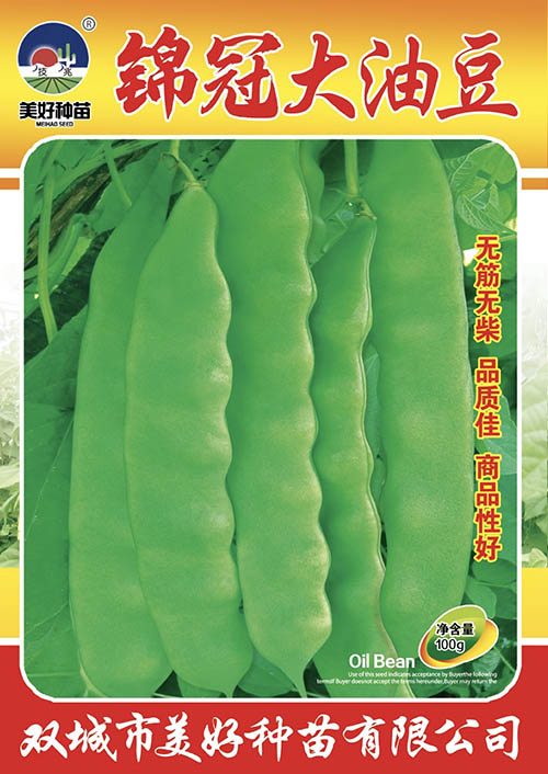 �\�ڴ��Ͷ�